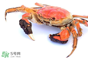 五月份可以吃螃蟹嗎？5月份可以吃螃蟹嗎？