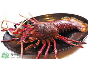 五月份能吃龍蝦嗎？5月份可以吃小龍蝦嗎？