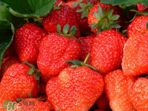 五月份還有草莓嗎？5月份還有草莓嗎？