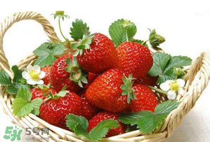 五月份還有草莓嗎？5月份還有草莓嗎？