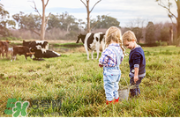 貝拉米有機(jī)米粉怎么樣？貝拉米有機(jī)米粉好不好？