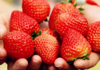 五月份還有草莓嗎？5月份還有草莓嗎？