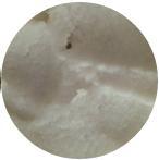 貝拉米米粉成分是什么？貝拉米米粉成分表