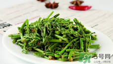 蕨苗能吃嗎？蕨苗可不可以吃？