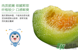 香瓜可以空腹吃嗎 空腹吃香瓜好嗎 香瓜可以空腹吃嗎 空腹吃香瓜好嗎