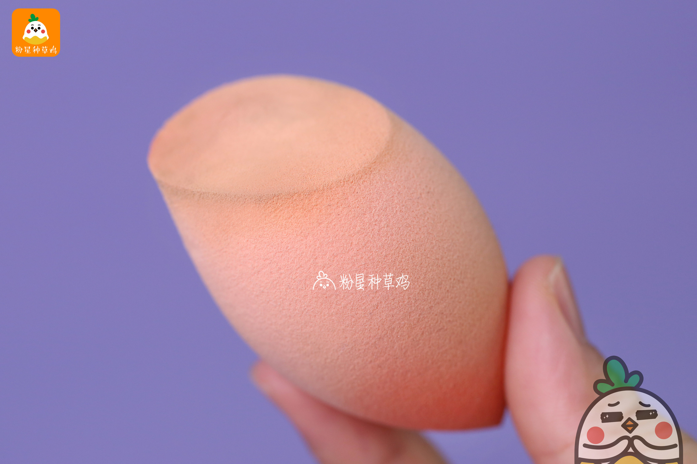 beauty blender美妝蛋和rt美妝蛋哪個(gè)好？
