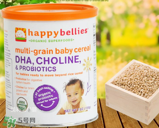 禧貝米粉怎么樣？禧貝米粉好不好？