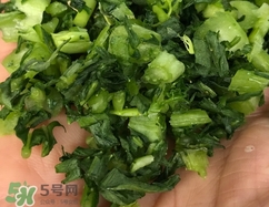 雪里紅怎么做酸菜?雪里蕻如何做酸菜? 雪里紅怎么做酸菜?雪里蕻如何做酸菜?