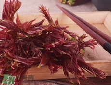 香椿芽怎么涼拌?涼拌香椿芽的做法 香椿芽怎么涼拌?涼拌香椿芽的做法