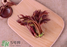 香椿芽怎么涼拌?涼拌香椿芽的做法 香椿芽怎么涼拌?涼拌香椿芽的做法