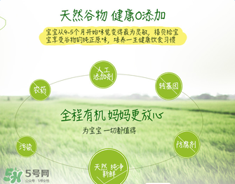 禧貝米粉二段味道怎么樣？禧貝米粉二段味道如何？