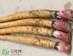 東洋參的營養(yǎng)價值_東洋參的功效與作用及食用方法