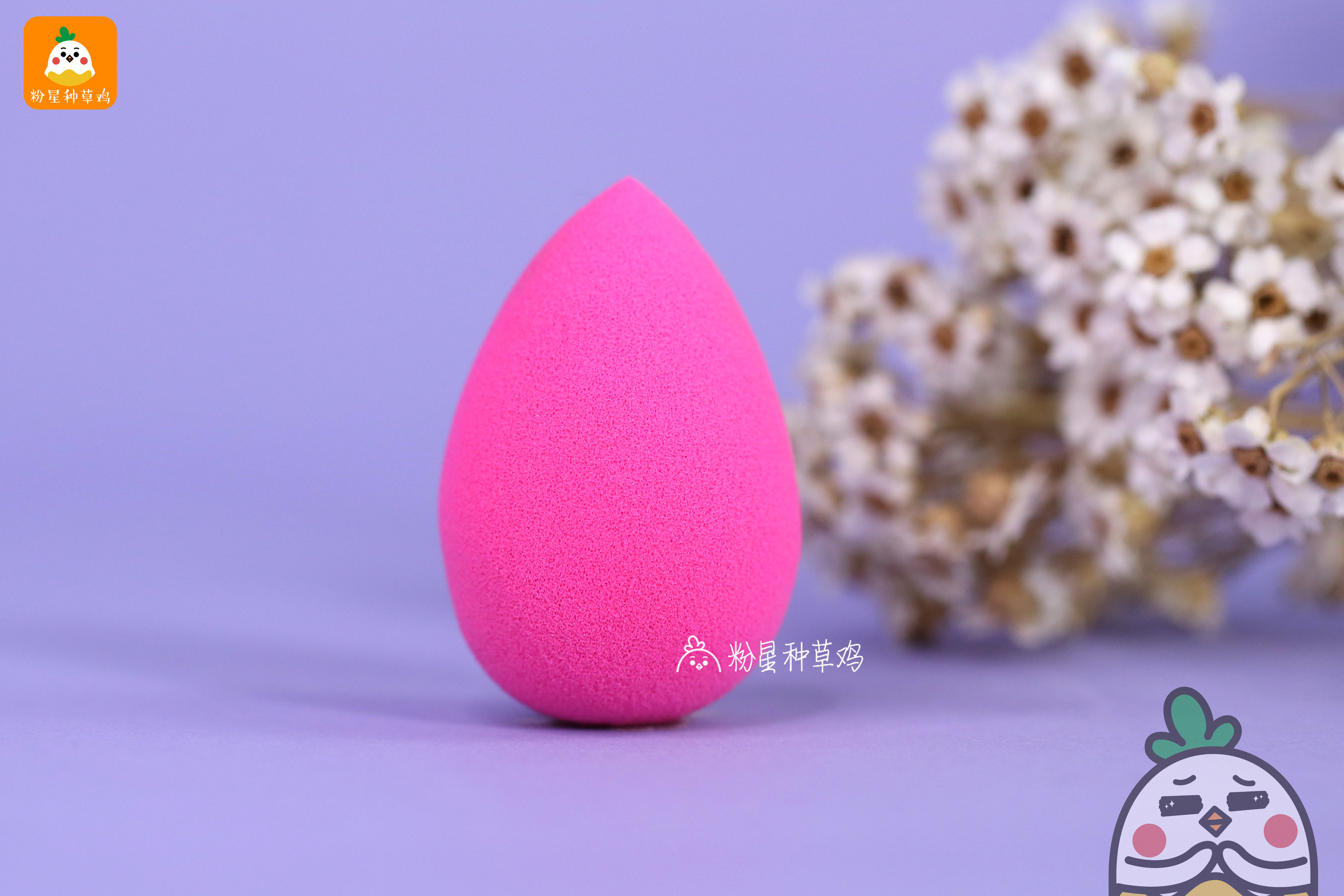 beauty blender美妝蛋和rt美妝蛋哪個(gè)好？