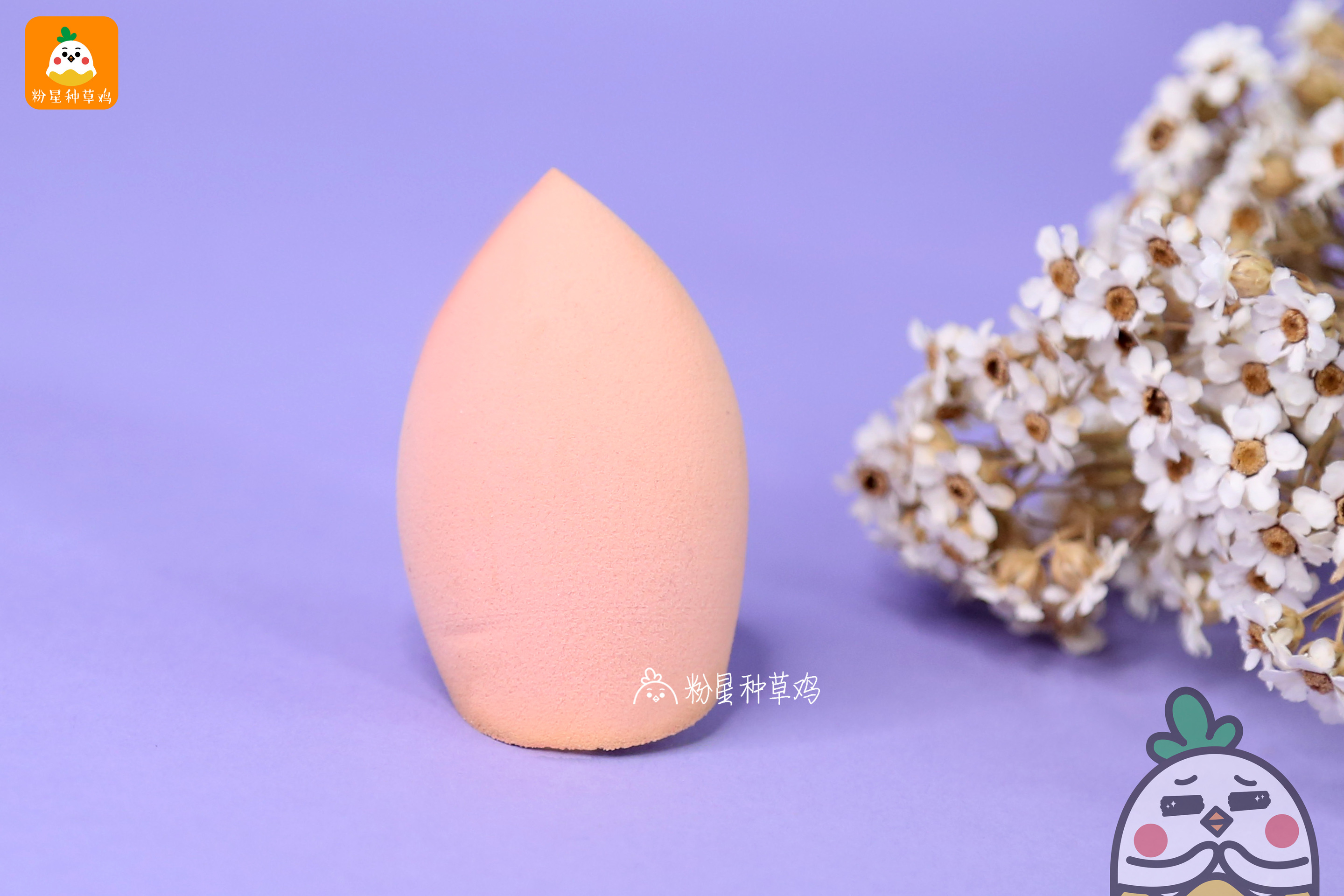 beauty blender美妝蛋和rt美妝蛋哪個(gè)好？