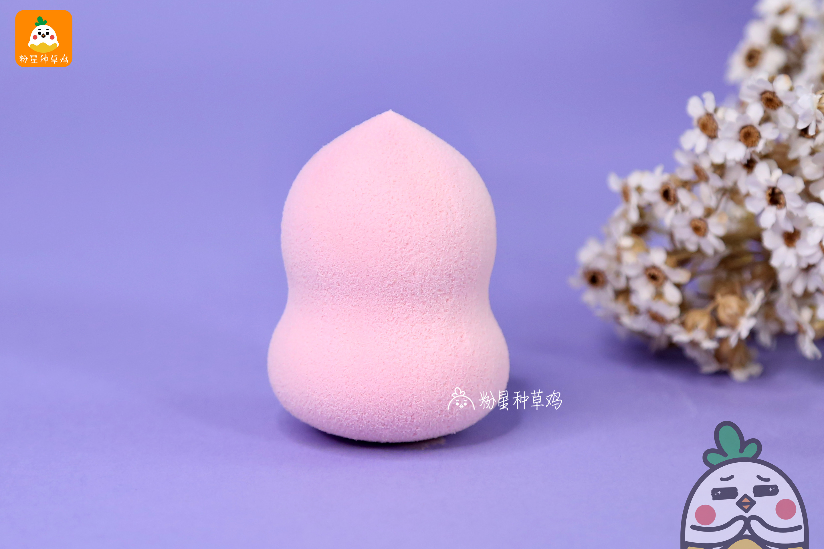 beauty blender美妝蛋和rt美妝蛋哪個(gè)好？