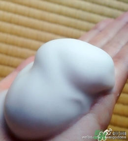 Rafra是什么牌子？是什么檔次？