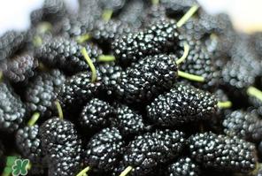 桑葚發(fā)霉了還能吃嗎？桑葚發(fā)霉了還能泡酒嗎？