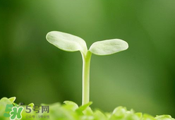 甲醛檢測儀哪個牌子好？哪個牌子的甲醛檢測儀好？