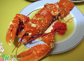 龍蝦多少錢一斤？龍蝦多少錢一斤2017？