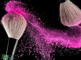 艾諾琪化妝刷怎么樣？艾諾琪化妝刷和受受狼哪家好？