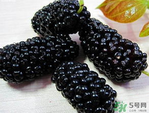 吃桑葚會(huì)拉黑便嗎？吃桑葚大便黑色怎么回事？