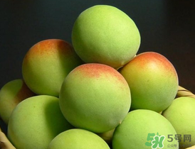 青梅什么時(shí)候成熟？青梅幾月份成熟？