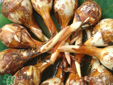 慈姑孕婦能吃嗎？孕婦能吃慈姑嗎？