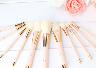 艾諾琪化妝刷哪款好？艾諾琪化妝刷推薦