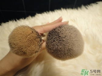 sigma化妝刷哪款好？sigma化妝刷推薦