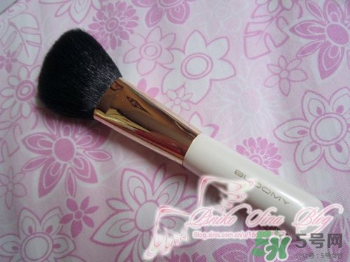 bloomy老爺家化妝刷哪款好？bloomy化妝刷推薦