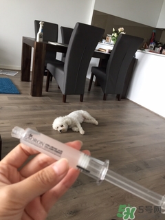 unichi面霜怎么樣 unichi美白丸面霜 unichi面霜怎么樣 unichi美白丸面霜