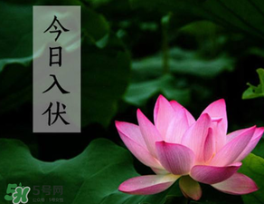 2017年頭伏是哪一天？2017年什么時(shí)候入伏？