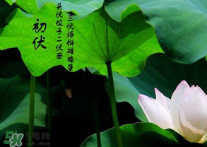 2017年頭伏是哪一天？2017年什么時(shí)候入伏？