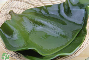 孕婦能吃海帶嗎？孕婦可以吃海帶嗎？