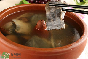 懷孕初期能吃甲魚嗎？懷孕初期可以吃甲魚嗎？