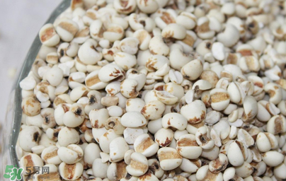 孕婦能吃米仁嗎？孕婦可以吃米仁嗎？