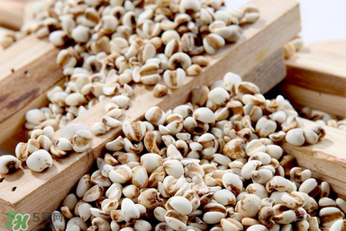 孕婦能吃米仁嗎？孕婦可以吃米仁嗎？