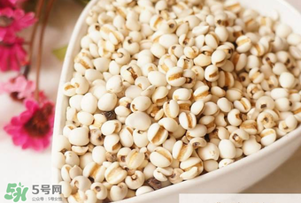 孕婦能吃米仁嗎？孕婦可以吃米仁嗎？