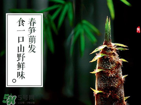 春筍多少錢一斤？春筍多少錢一斤2017？