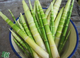 春筍多少錢一斤？春筍多少錢一斤2017？