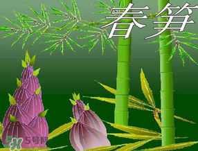 春筍多少錢一斤？春筍多少錢一斤2017？