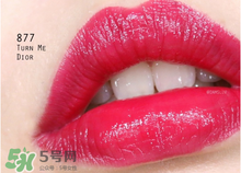 迪奧877是什么顏色？迪奧877適合黃皮嗎？