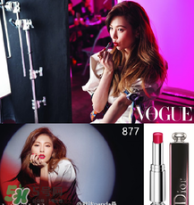 迪奧877是什么顏色？迪奧877適合黃皮嗎？