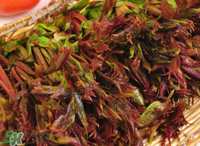 香椿幾月份可以吃？香椿什么時候吃？