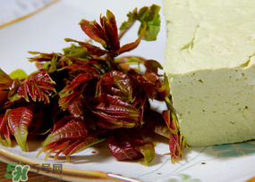 香椿為什么會(huì)苦？香椿苦味怎么回事？