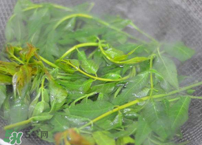 香椿為什么要焯水？香椿怎么焯水？