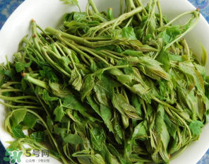 香椿什么人不能吃？香椿哪些人不能吃？