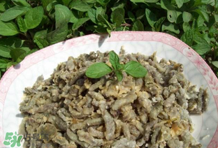 構(gòu)樹穗孕婦能吃嗎？孕婦能吃構(gòu)樹穗嗎？