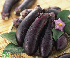 孕婦不能吃茄子嗎？為什么孕婦不能吃茄子？