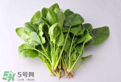 孕婦可以吃菠菜嗎？孕婦菠菜吃多了會怎樣？